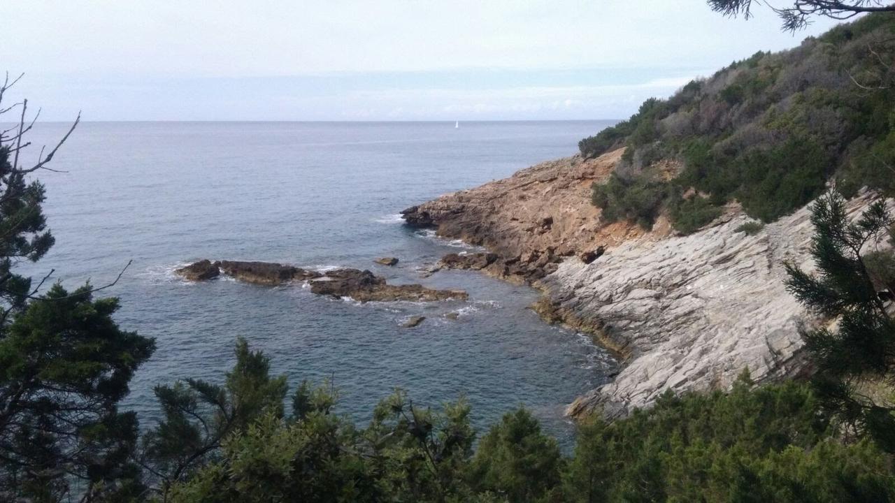 Hotel Casa San Giuseppe - Isola D'Elba à Cavo Extérieur photo